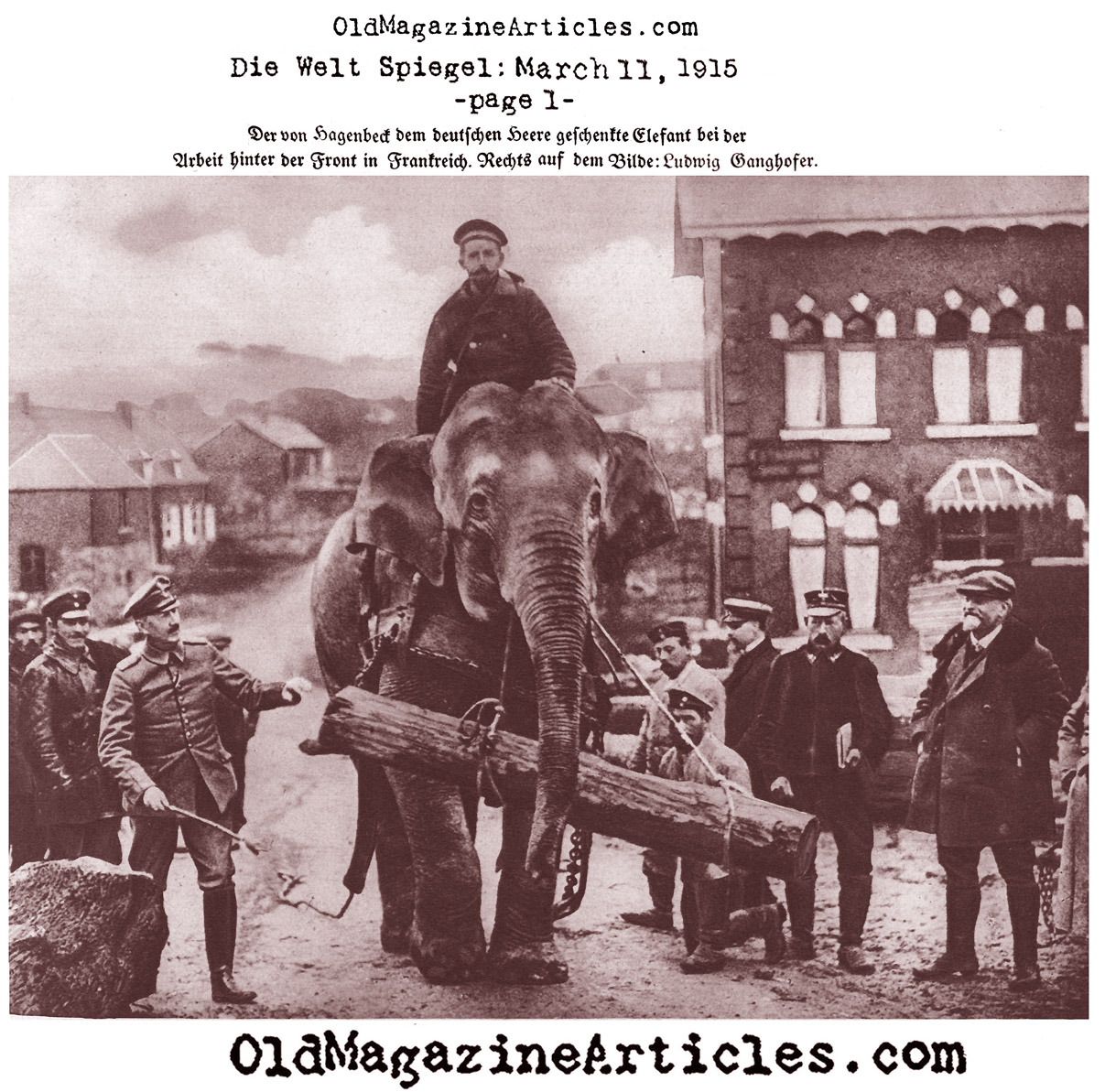 The Western Front Elephant (Der Welt Spiegel, 1915)